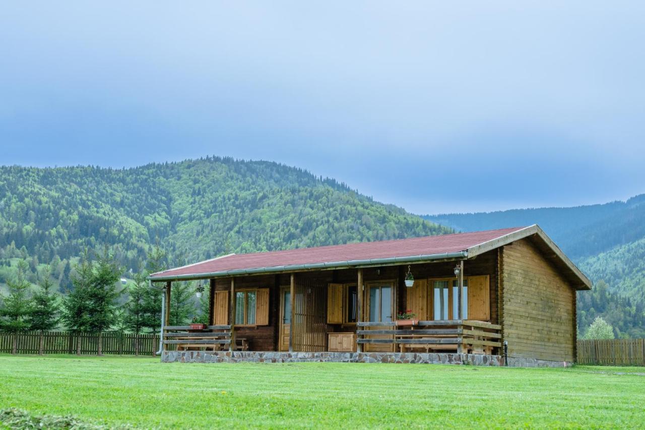 Biotour Camping & Restaurant Ghimeş-Făget Εξωτερικό φωτογραφία