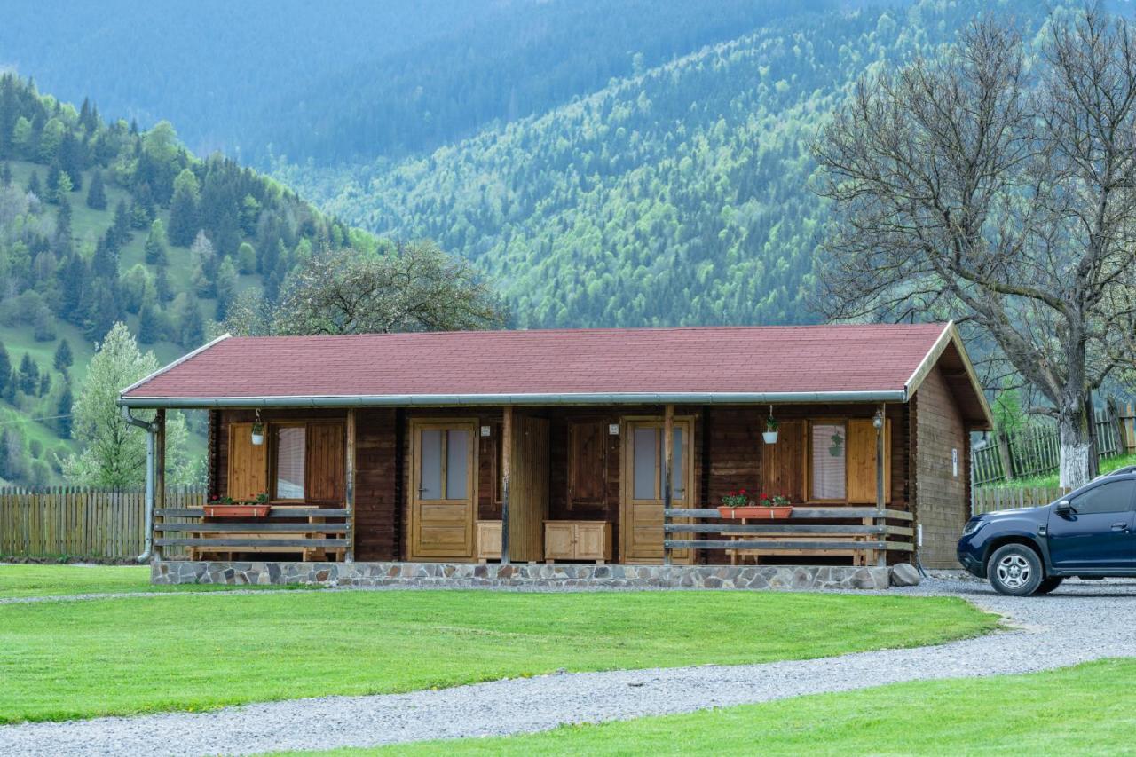 Biotour Camping & Restaurant Ghimeş-Făget Εξωτερικό φωτογραφία