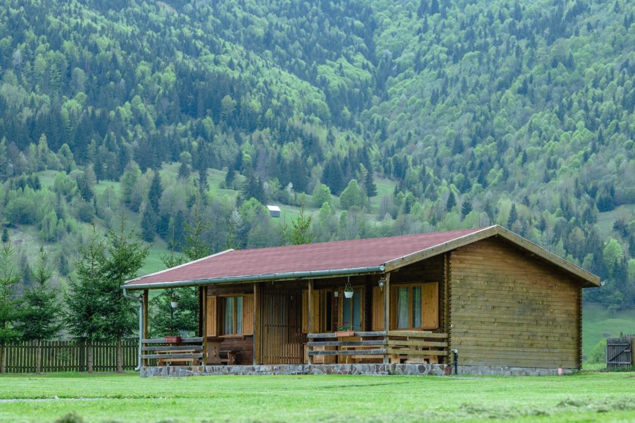 Biotour Camping & Restaurant Ghimeş-Făget Εξωτερικό φωτογραφία
